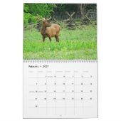 Calendrier 2013 de Great Smoky Mountains (Feb 2027)