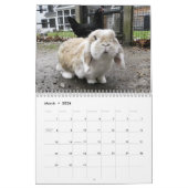 Calendrier 2013 de HenCam (Mar 2026)