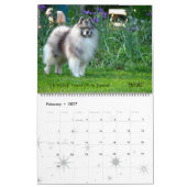 Calendrier 2013 de Keeshond de trompette mis à (Feb 2027)