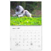 Calendrier 2013 de Keeshond de trompette mis à (Mar 2027)