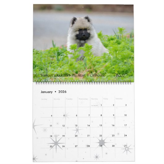 Calendrier 2013 de Keeshond de trompette mis à (Jan 2026)