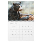 Calendrier 2013 de la Fondation de l'ours andin (Feb 2026)