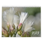 Calendrier 2013 de photo (Protection)