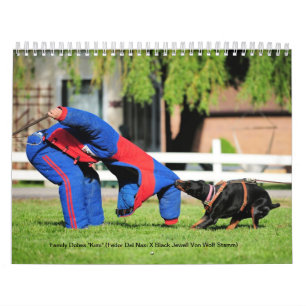 Calendrier 2013 de protection de Dobes de famille