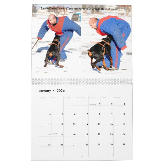 Calendrier 2013 de protection de Dobes de famille (Jan 2026)