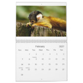 Calendrier 2013 de singe (Feb 2027)