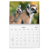 Calendrier 2013 de singe (Mar 2027)