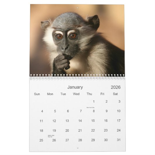 Calendrier 2013 de singe (Jan 2026)