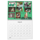 Calendrier 2013 du lévrier italien d'IGWhisper 2 (Mar 2027)
