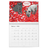 CALENDRIER 2013, GRAPHIQUES DRÔLES D'ANIMAUX (Feb 2026)