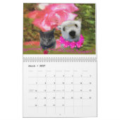 CALENDRIER 2013, GRAPHIQUES DRÔLES D'ANIMAUX (Mar 2027)