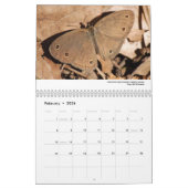 Calendrier 2013 - papillons et mites (Feb 2026)