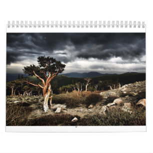 calendrier 2013 par TylerJphoto