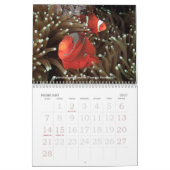 Calendrier 2013 sous-marin d'espèce marine de (Feb 2027)