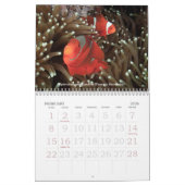 Calendrier 2013 sous-marin d'espèce marine de (Feb 2026)