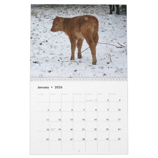 Calendrier 2013 veaux (Jan 2026)