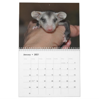 Calendrier 2014 - Babies Possum