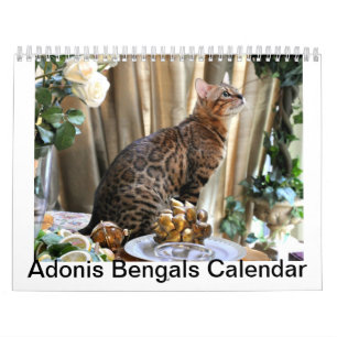 Calendrier 2014 d'AdonisBengals