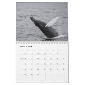 Calendrier 2014 de baleines de bosse (Mar 2026)
