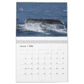 Calendrier 2014 de baleines de bosse (Jan 2026)