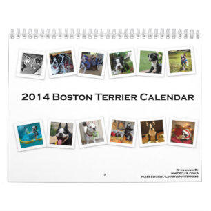 Calendrier 2014 de Boston Terrier