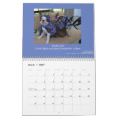 Calendrier 2014 de Boston Terrier (Mar 2027)