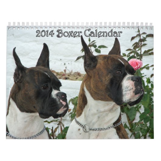 Calendrier 2014 de boxeur (Protection)