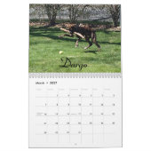 Calendrier 2014 de boxeur (Mar 2027)