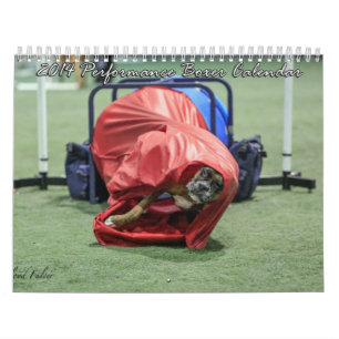 Calendrier 2014 de boxeur de représentation