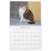 Calendrier 2014 de chat (Feb 2026)