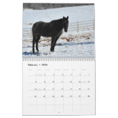 Calendrier 2014 de cheval de montagne (Feb 2026)
