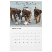 Calendrier 2014 de chiot de boxeur (Feb 2026)