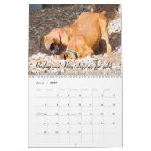 Calendrier 2014 de chiot de boxeur (Mar 2027)