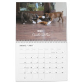 Calendrier 2014 de chiot de boxeur (Jan 2027)