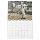 Calendrier 2014 de HenCam (Mar 2027)