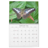 Calendrier 2014 de papillon (Feb 2026)