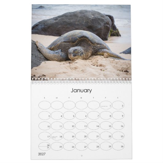 Calendrier 2014 de photographie d'Amy Stonebraker (Jan 2027)