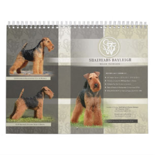 Calendrier 2014 de Shaireabs Bayleigh gallois