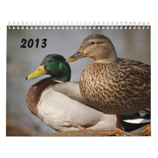 Calendrier 2014 de sportifs de canards de Mallard (Protection)