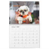 Calendrier 2014 fou par chiens (Jan 2027)