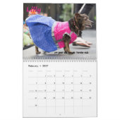 Calendrier 2014 fou par chiens (Feb 2027)