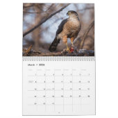 Calendrier 2014 rapaces Fort Collins le Colorado de (Mar 2026)