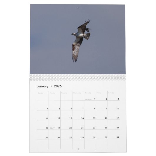 Calendrier 2014 rapaces Fort Collins le Colorado de (Jan 2026)