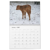 Calendrier 2014 veaux (Jan 2027)