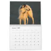Calendrier 2014 Windhounds de soie 1-2 (Jan 2027)