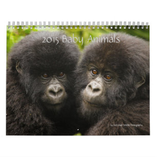Calendrier 2015 Baby Animals by McDonald Wildlife Photography