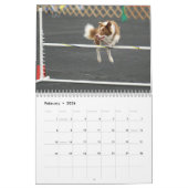 Calendrier 2015 d'agilité de border collie (Feb 2026)