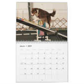 Calendrier 2015 d'agilité de border collie (Mar 2027)