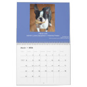 Calendrier 2015 de Boston Terrier (Mar 2026)