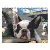 Calendrier 2015 de Bubba Louie ! (Protection)